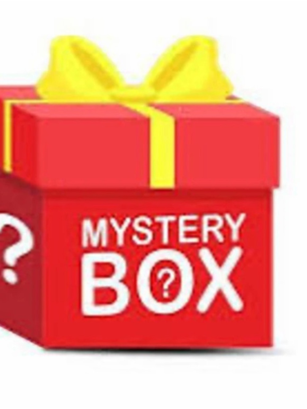 Women’s Mystery Box 5 items of clothing Size 1x